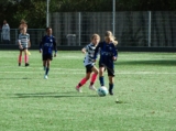 S.K.N.W.K. JO12-1JM - Zeelandia Middelburg MO11-1 (beker) 2024-2025 (1e fase) (105/106)